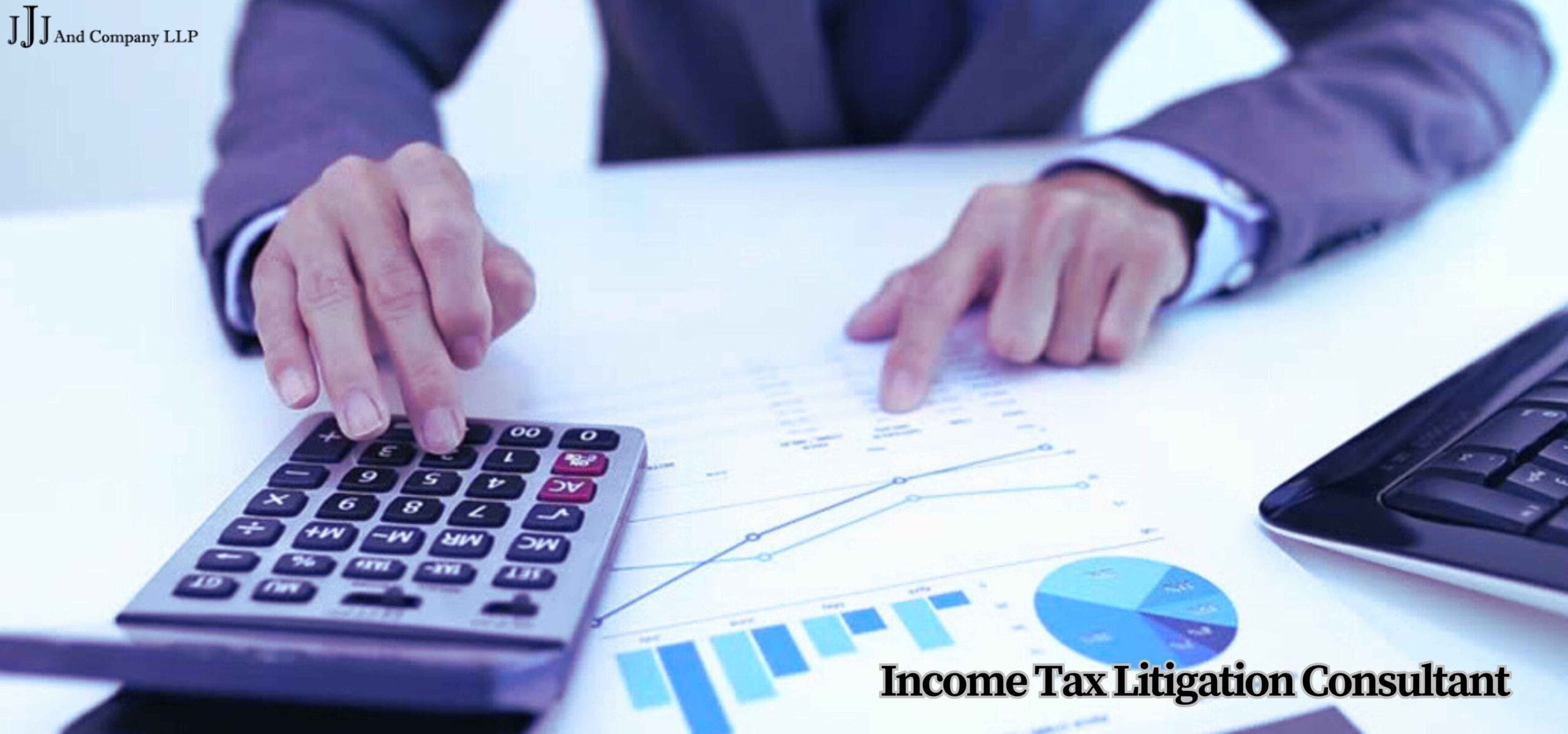 Income Tax Litigation Consultant